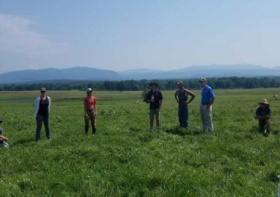 201811 Discussions about pasture